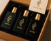 Best Perfume for Men